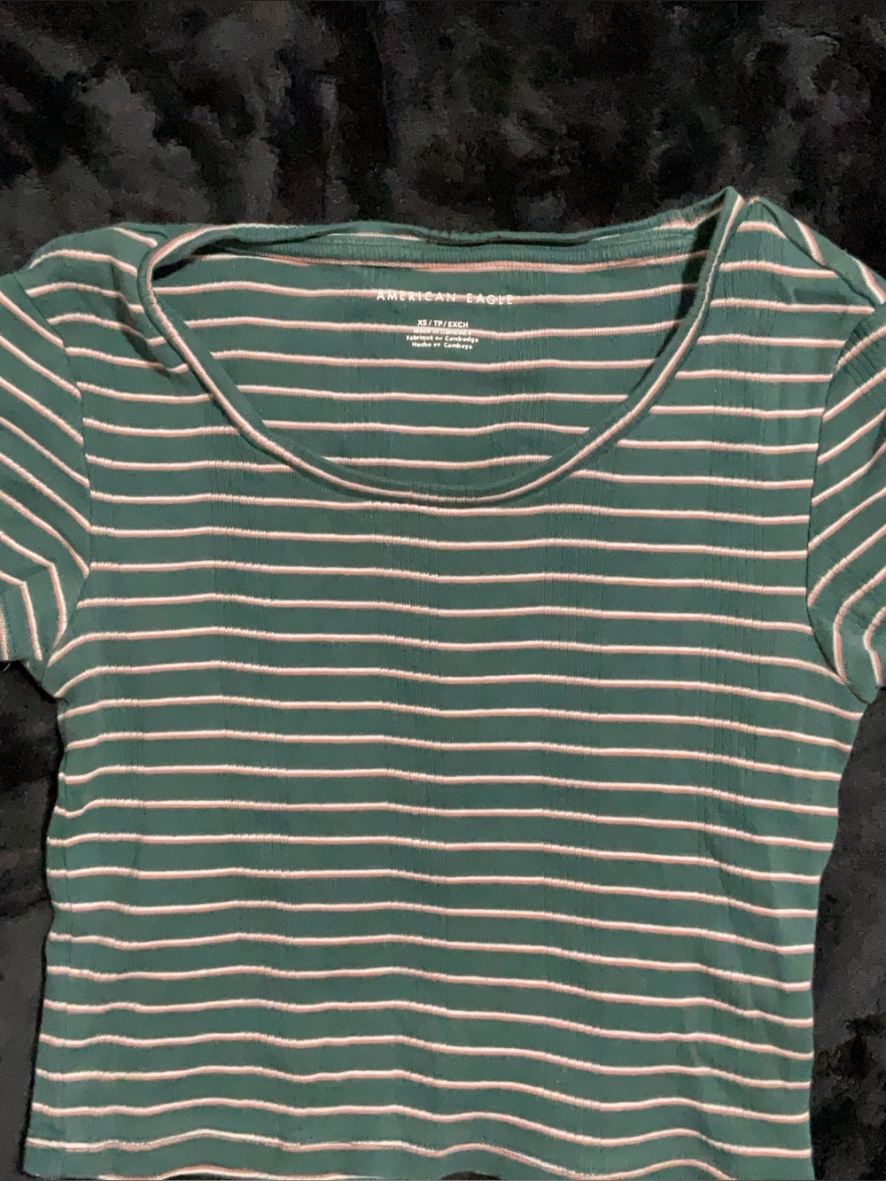 American Eagle Outfitters Teal and White Striped Short Sleeve Tee